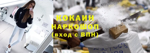 шишки Нестеровская