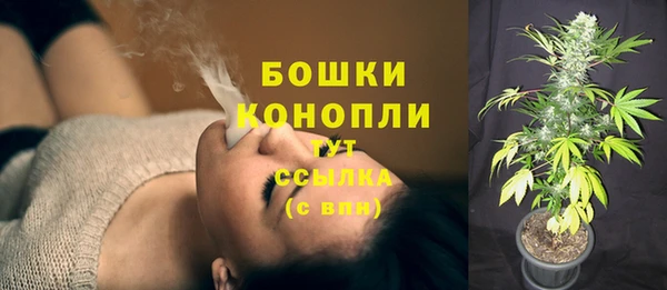 прущие крисы Инсар