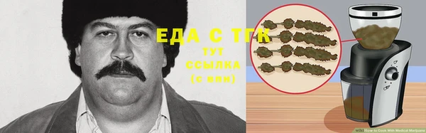 индика Иннополис