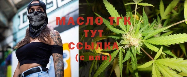 индика Иннополис