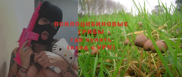 apvp Зеленодольск