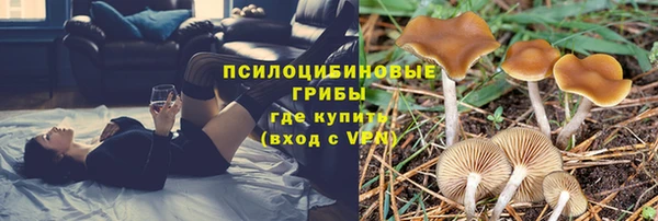 индика Иннополис