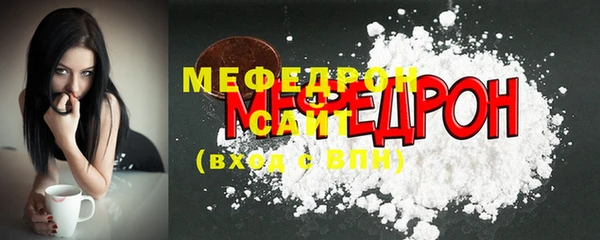 spice Инта