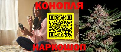 гашик Коммунар