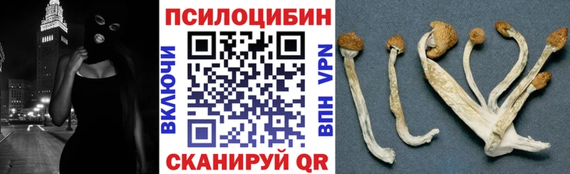 хочу   кракен ТОР  Галлюциногенные грибы GOLDEN TEACHER  Соль-Илецк 