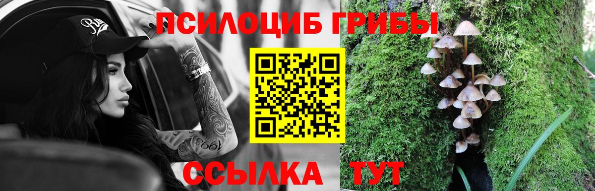 Соль-Илецк  Галлюциногенные грибы MAGIC MUSHROOMS  Вход с VPN 