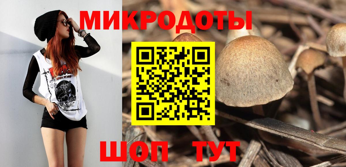 Псилоцибиновые грибы Psilocybe Соль-Илецк